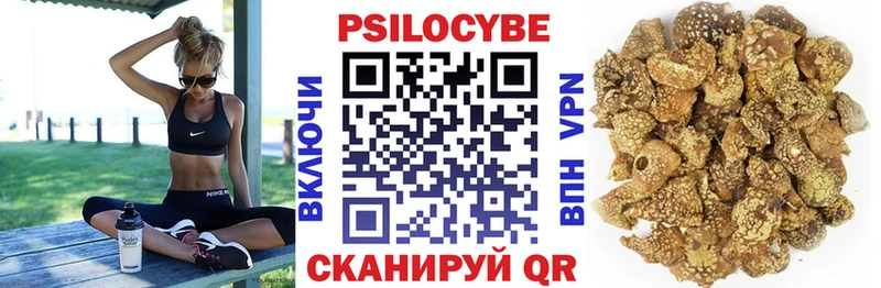 Галлюциногенные грибы Psilocybe  Купить  Луховицы 